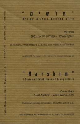 Assaf Anafim - Video Works, 2001